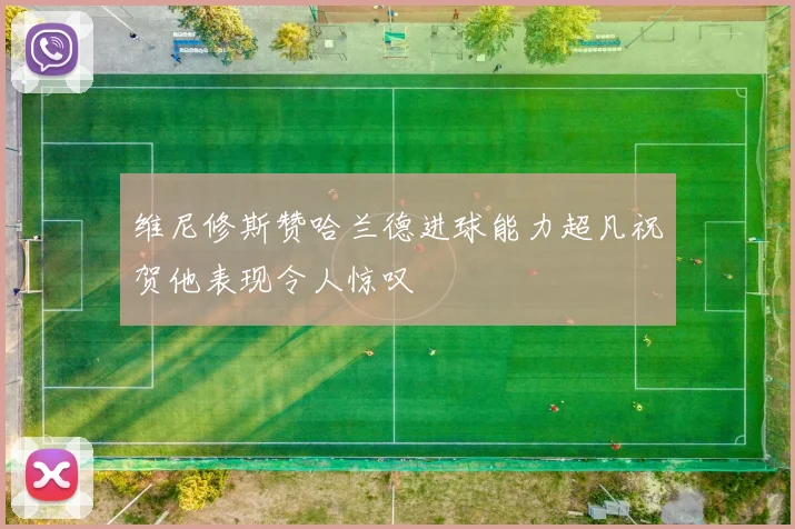 维尼修斯赞哈兰德进球能力超凡祝贺他表现令人惊叹